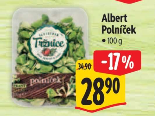 Albert Polníček