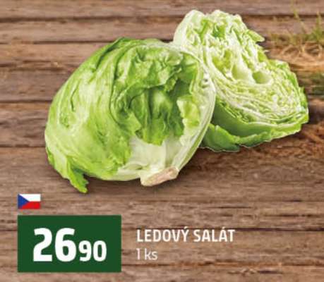 Ledový salát