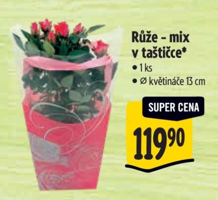 Růže mix v taštičce*