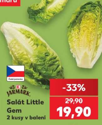 Salát Little Gem