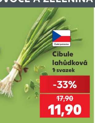 Cibule lahůdková