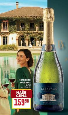 Tarapaca sekt Brut