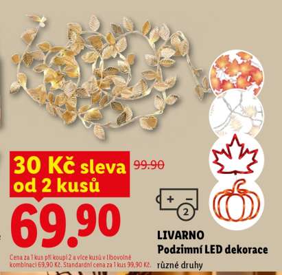 LIVARNO Podzimní LED dekorace