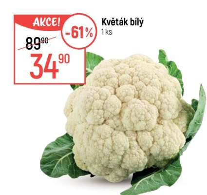 Květák bílý