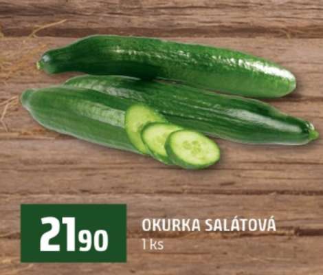 OKURKA SALÁTOVÁ