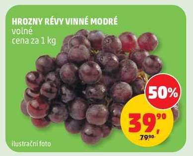 HROZNY RÉVY VINNÉ MODRÉ