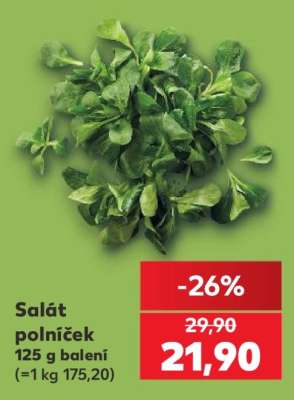 Salát polníček