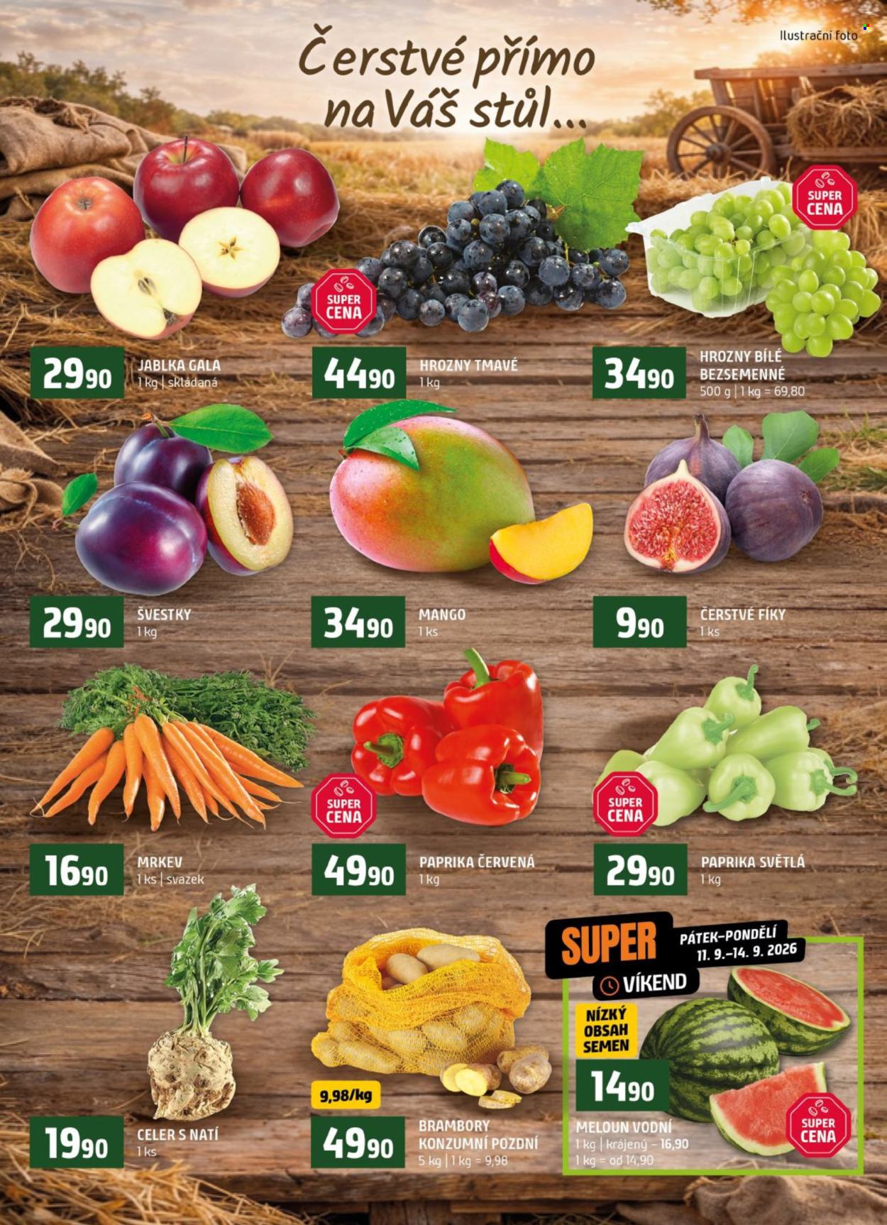 Leták coop TERNO - 9.9.2026 - 15.9.2026. Strana 6