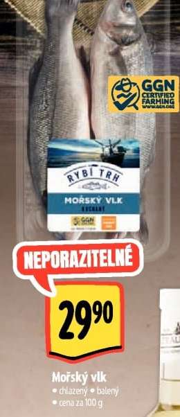 Mořský vlk