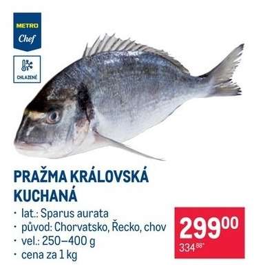 Pražma královská kuchaná