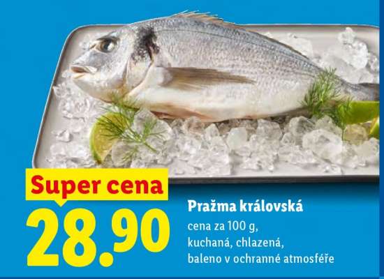 Pražma královská
