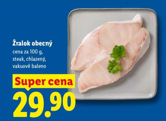 Žralok obecný
