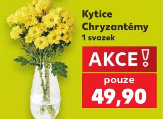 Kytice Chryzantémy
