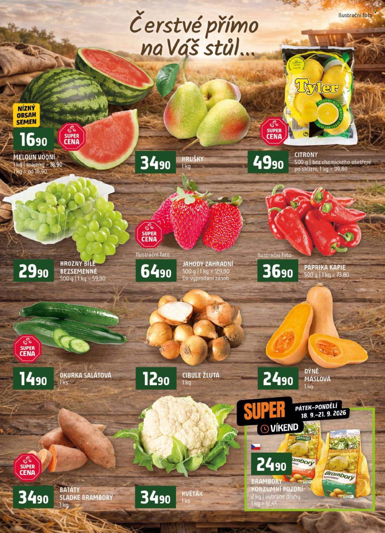 Leták coop TERNO - 16.9.2026 - 22.9.2026. Strana 6
