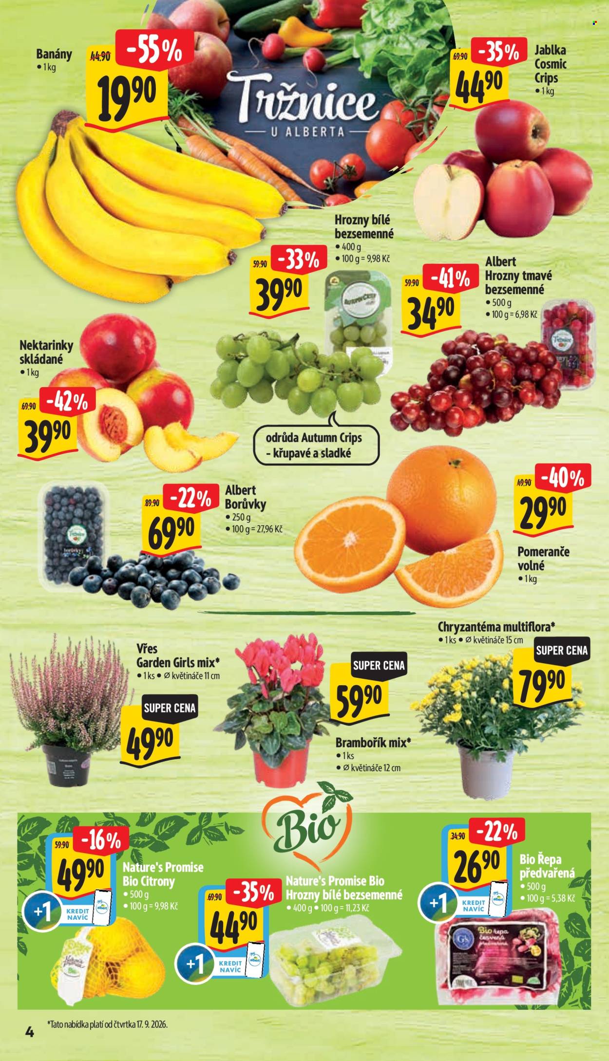 Leták Albert Supermarket - 16.9.2026 - 22.9.2026. Strana 12