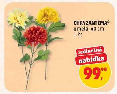 CHRYZANTÉMA*