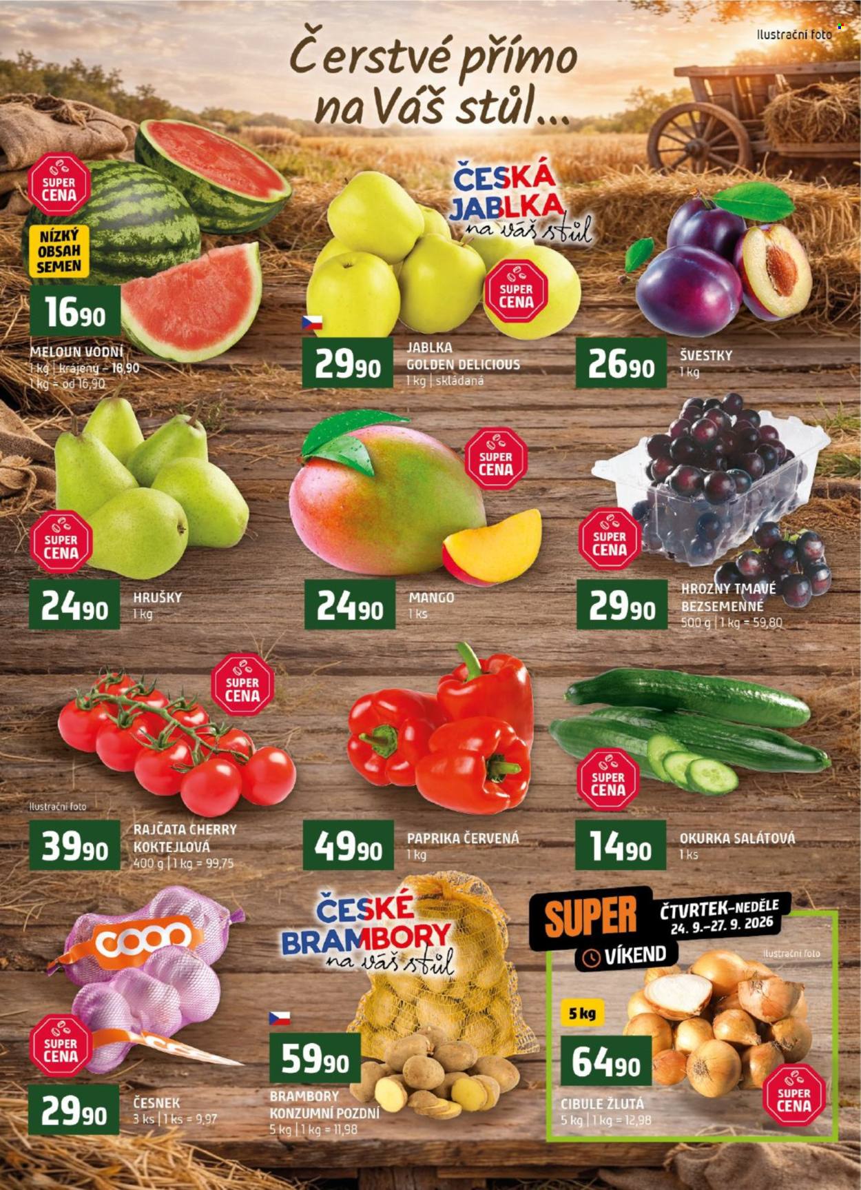 Leták coop TERNO - 23.9.2026 - 29.9.2026. Strana 6