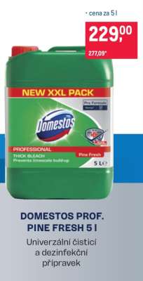 DOMESTOS PROF. PINE FRESH 5 l